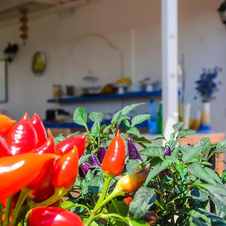 Giusto 3* Barano dʼIschia